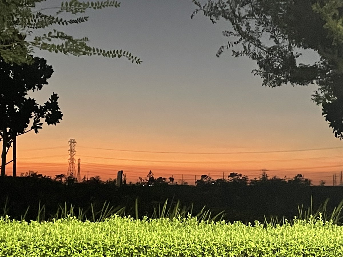 TWHPrincipal's tweet photo. #beautiful #sunset https://t.co/PmK40XDzel