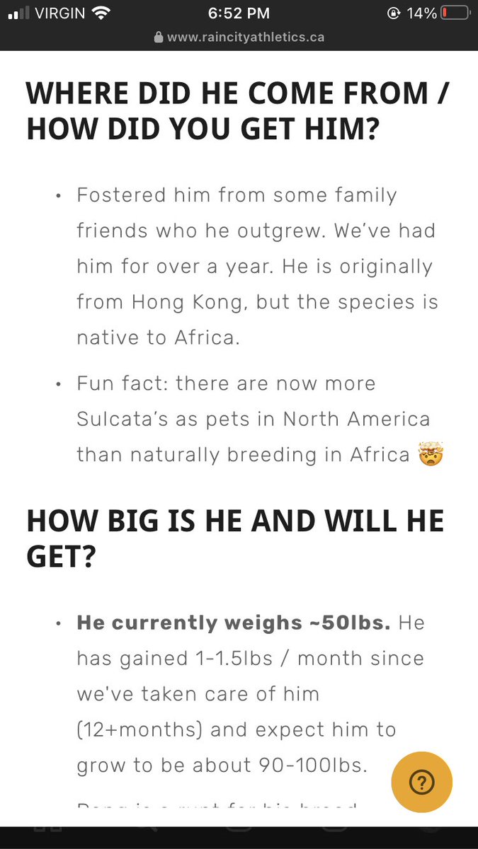 Ember•FREE PALESTINE 🇵🇸 tweet media