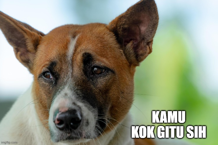 Kenji. tweet media