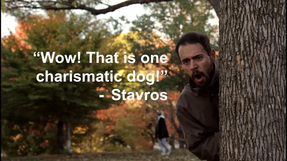 BizincBusiness's tweet photo. Let's face it, modern politicians suck! More dogs need to be voted into positions of power!

#startamovement #jakeformayor #dogs #jokes https://t.co/gQfsP03l5m