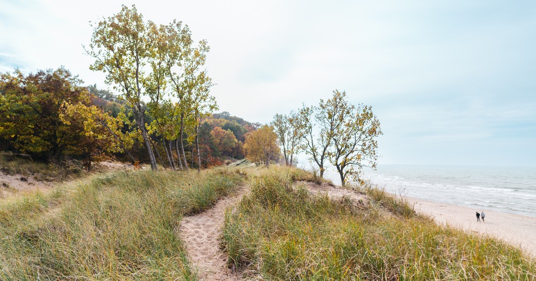 Saugatuck's tweet photo. Today kicks off the beginning of #MichiganTrailsWeek. And with temperatures beginning to cool, it's the perfect time to take a hike. π³
Click here to download a copy of our hiking trails map, https://t.co/CJIZ5mQzPZ.
#SaugatuckDouglas #ArtCoastofMichigan #hiking #trails https://t.co/qwKC3HgGxw
