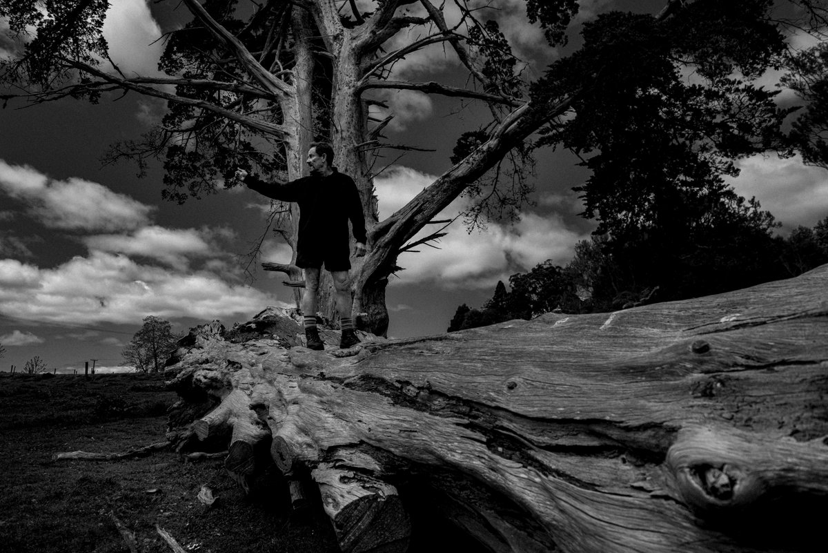 O Tātou Ngāhere Conference 80% full join us at Te Papa i roto Te Whanganui-a-Tara Oct 27 &amp; 28 and hear from the experts on the HOW and WHY of more native forest management and regeneration for the myriad benefits createsend.com/t/r-F87A1BBFC2…