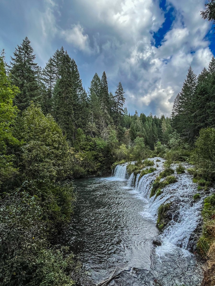 Thundercatt99's tweet photo. My daughter Hannah came to town and out for a drive we went. #ButteFalls in #Oregon. More pix tomorrow. #photography https://t.co/HwOzPQKc7e