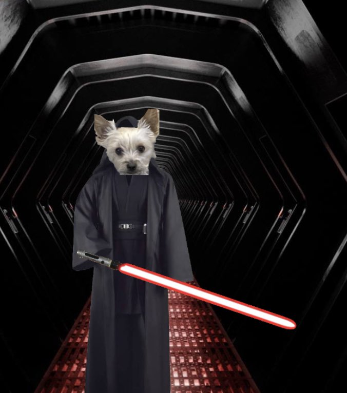 MICHAELSWORLD23's tweet photo. Darth Chipious solos lol https://t.co/SmkdWuDXku