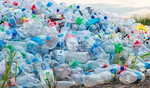 Todavía no es demasiado tarde, para que la Cámara de Diputados, cambie la Ley de Gestión Integral de Residuos, prohíba a la industria refresquera y alimenticia, los plásticos de un solo uso y se haga responsable de sus desechos.
ow.ly/MKpA50KNvvx