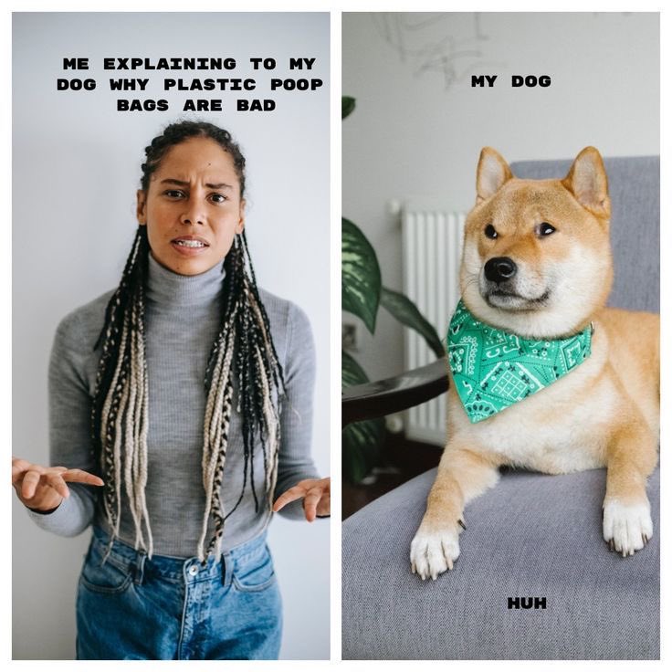 Curbicus tweet media