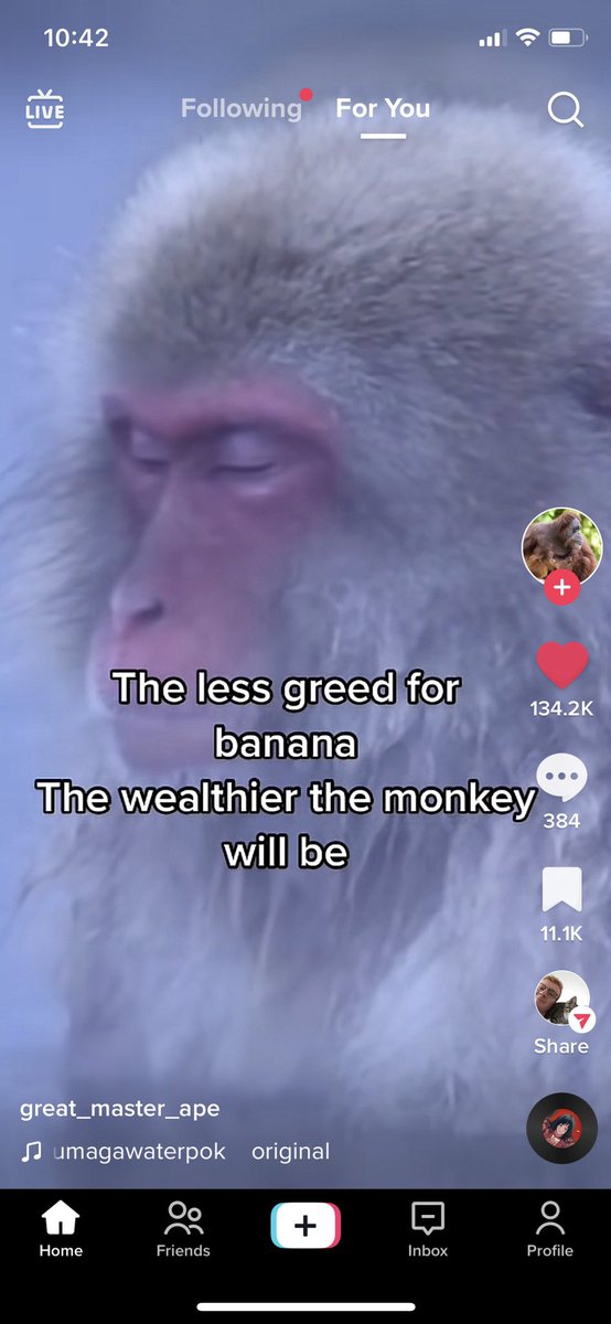 Tank Evans tweet media