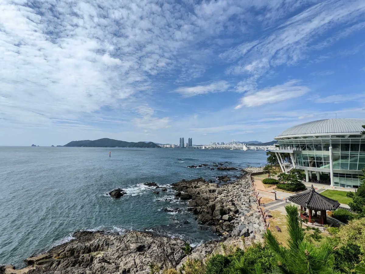 U of T Trash Team 🦝 tweet media