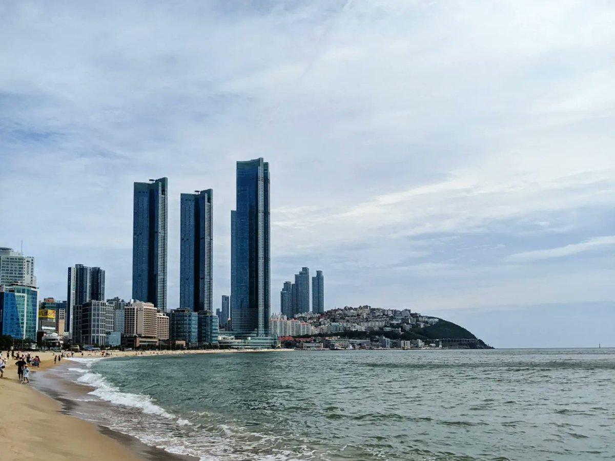 U of T Trash Team 🦝 tweet media