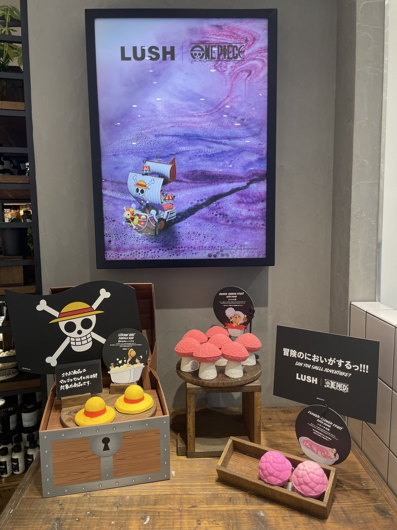 ワンピース✖️LUSHコラボしたバスボム 全5種類セット-