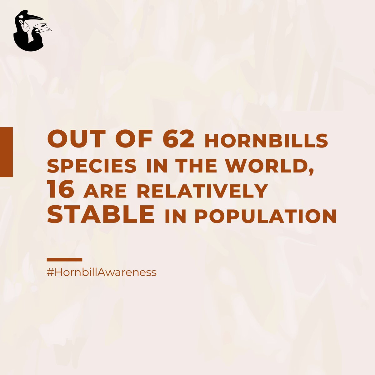IUCN SSC Hornbill Specialist Group tweet media