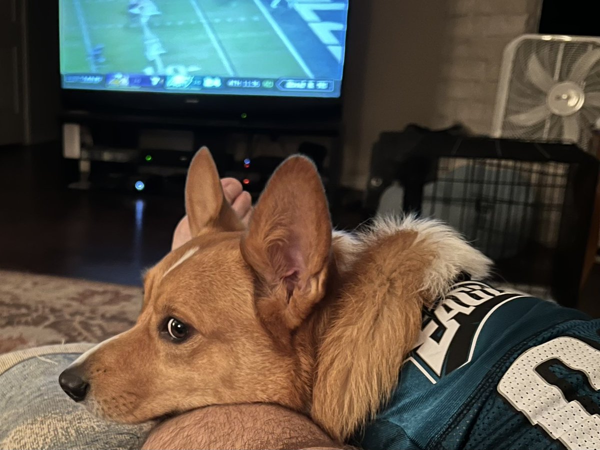 AnimBill's tweet image. Chillin with my Doggie “Rocky” watching the Eagles win on MNF