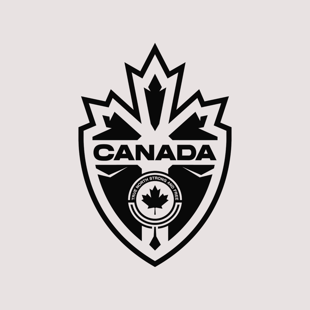 Logo rebrand concept for the Canadian Soccer Association🇨🇦⚽️

Full project on Behance: behance.net/gallery/153034…

#WeCAN #CANMNT
