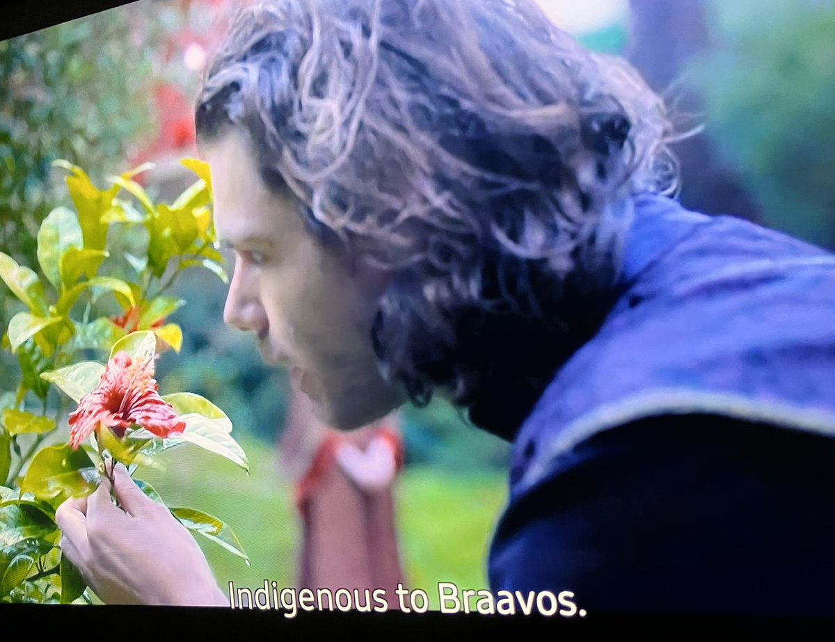 Yung gumamela indigenous daw to Braavos??? #HouseOfTheDragon