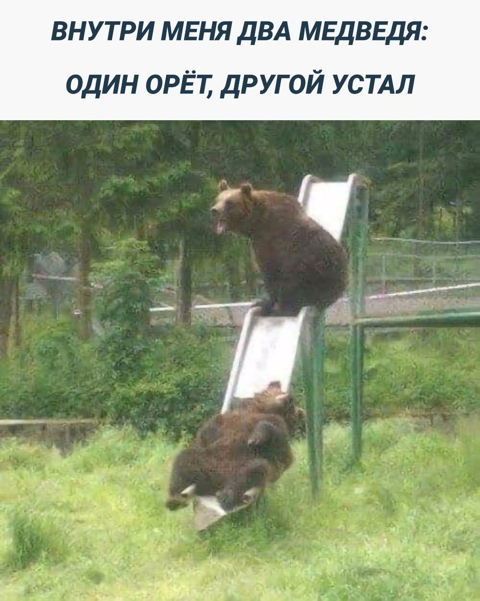 demonspeeding21's tweet photo. Ну вот как- то так https://t.co/dOXsgygeMq
