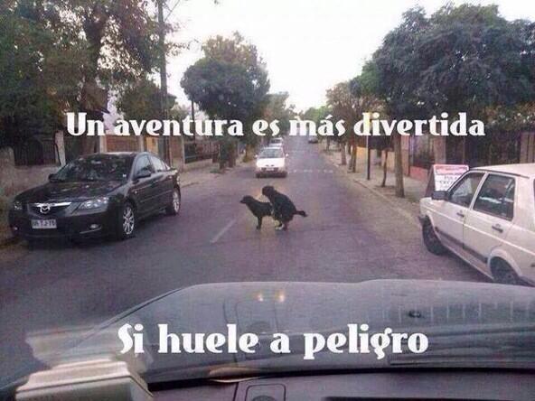 CorazonDeMiel22's tweet photo. @fallencolosssus https://t.co/OcSbqLUpaP