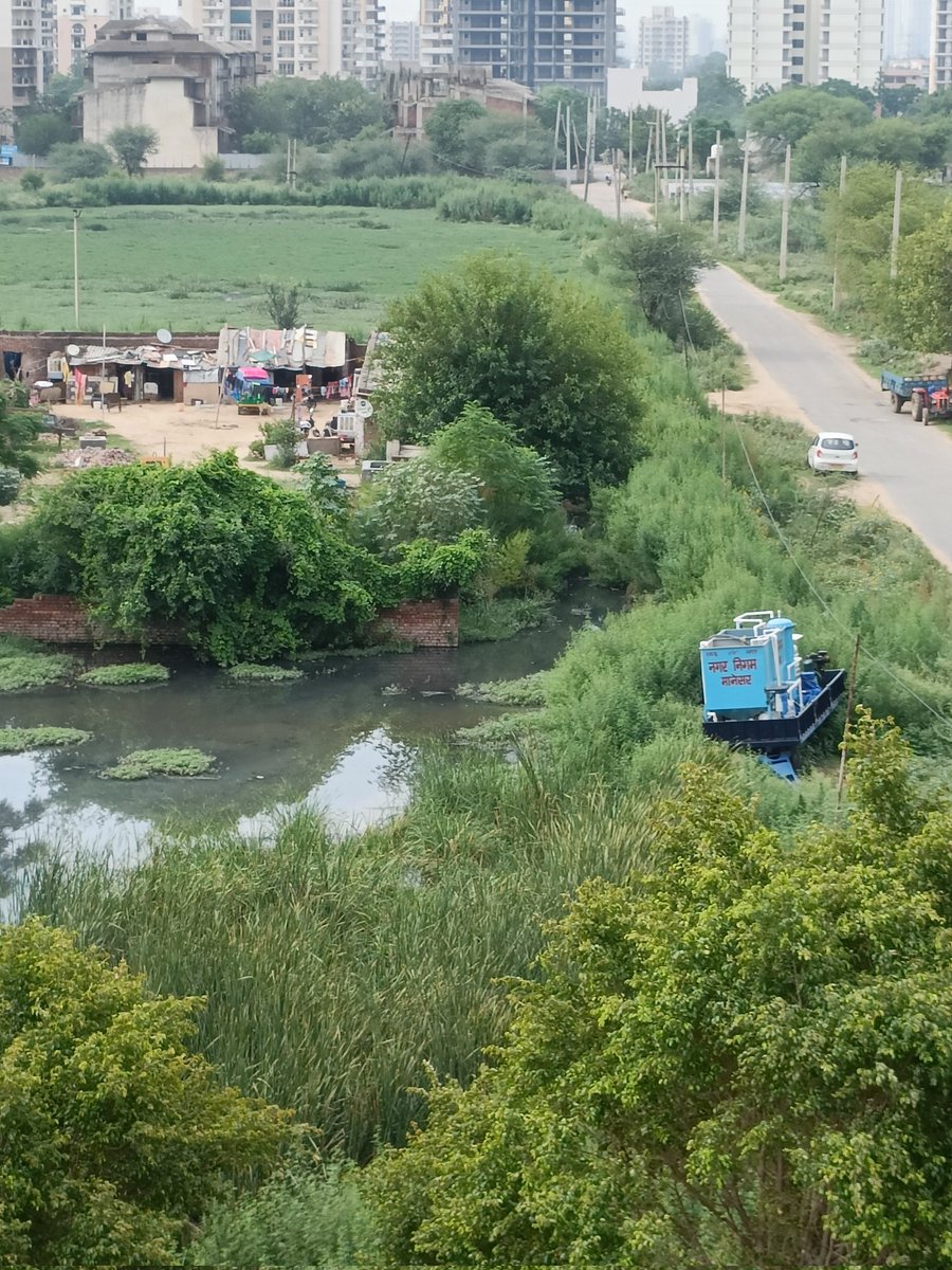 RituArya623's tweet photo. @mdhsiidc 
@MCManesar 
@CPCB_OFFICIAL 
@cleanAirBharat
Open naala within 50 mtrs of Express Greens  M1 sector manesar
Stinking 
no connectivity for residents https://t.co/nyG9gOVY9r