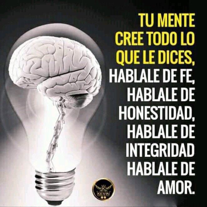 flores_gil_'s tweet photo. #CultivaTuMente siempre positivo https://t.co/ySaYxGGQ4C