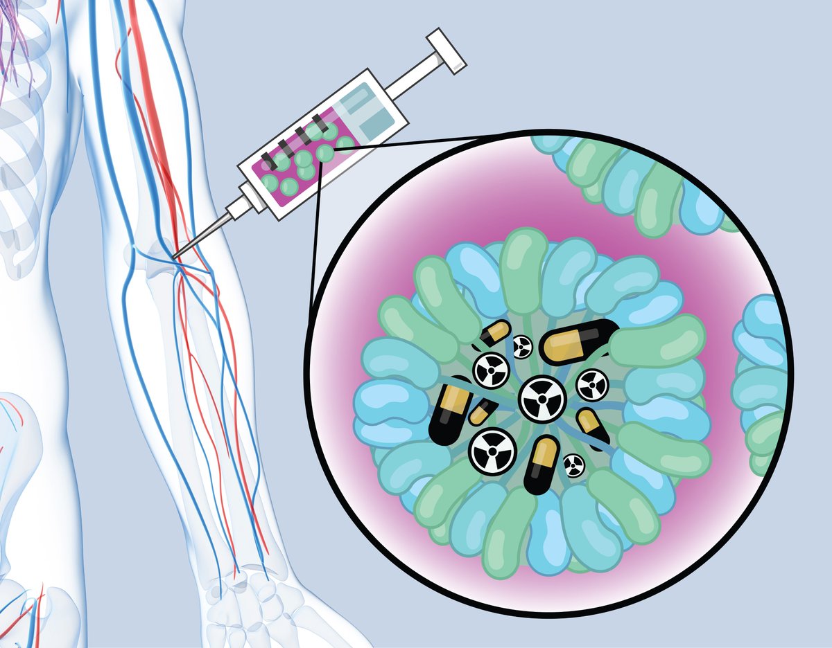 Researchers from the labs of @EelkemaLab and Antonia Denkova found an efficient and incredibly simple method to make nano carriers loaded with radioactive salts, suitable for medical imaging and treatment of cancer patients. Read more: bit.ly/tud-micelles