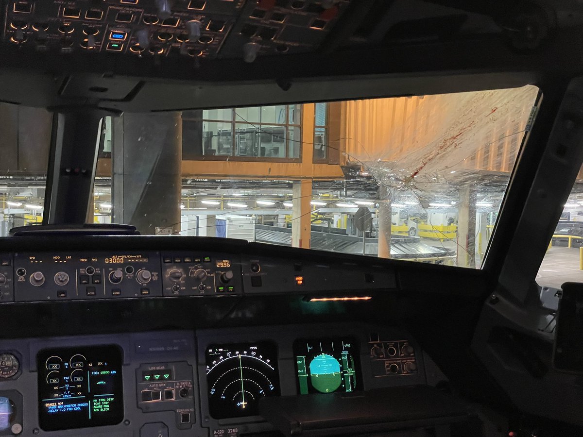 _LizLiv_'s tweet photo. Approximately 13,000 bird strikes per year in the US. I just got first hand experience. (After a 3 hr delay because of mechanical issues) https://t.co/Ja0KHVqwAs
