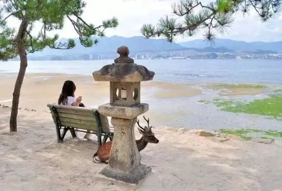 fcdexpert's tweet image. 面朝大海