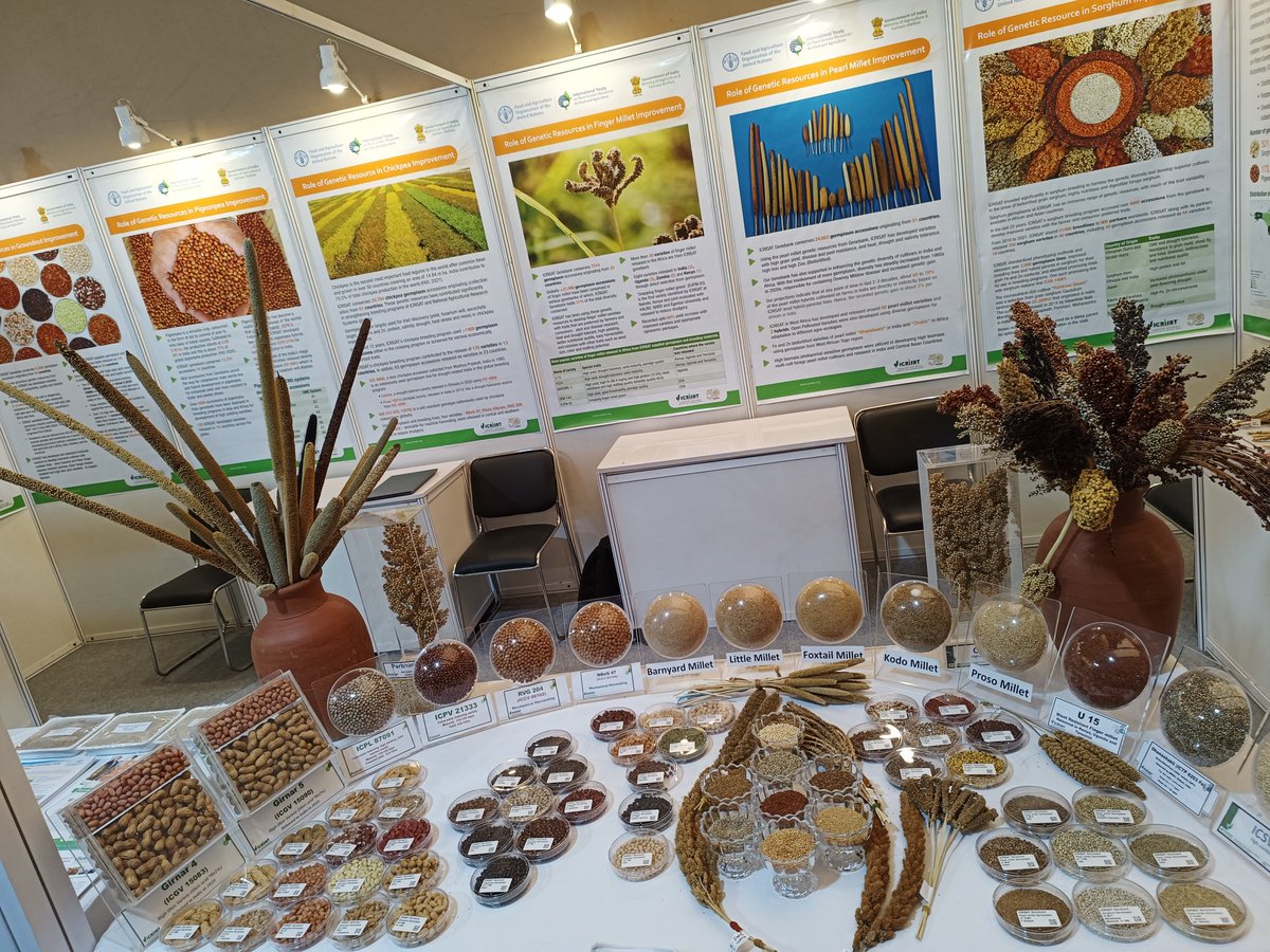 Showcasing the #germplasm diversity conserved @GenebankICRISAT at the ninth Governing Body #GB9 meeting of #ITPGRFA @FAO @planttreaty, hosted by the government of #India, in #NewDelhi. 
@ICRISAT