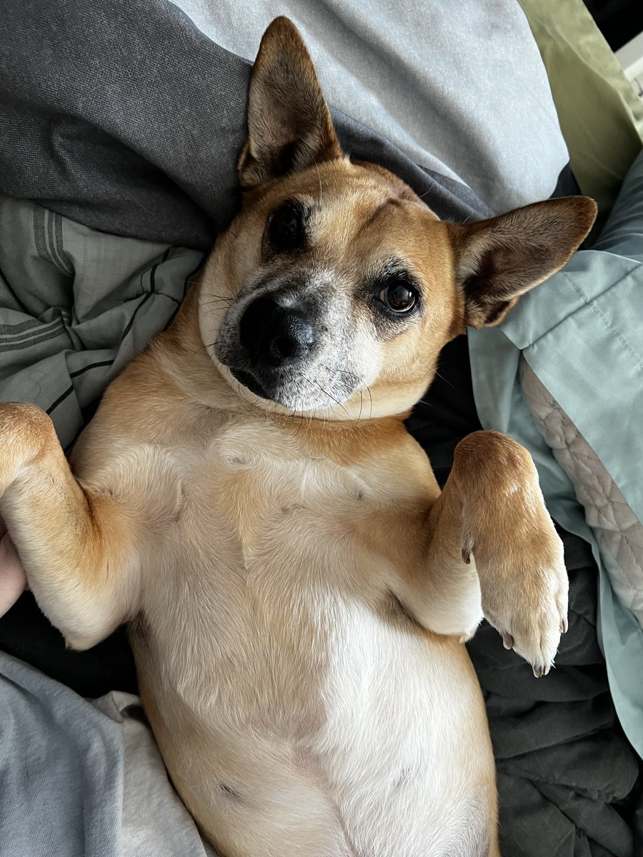 azoclaire's tweet photo. @trixiemattel This is Ryan. He’s just a guy. https://t.co/FrDA9Y6mNU