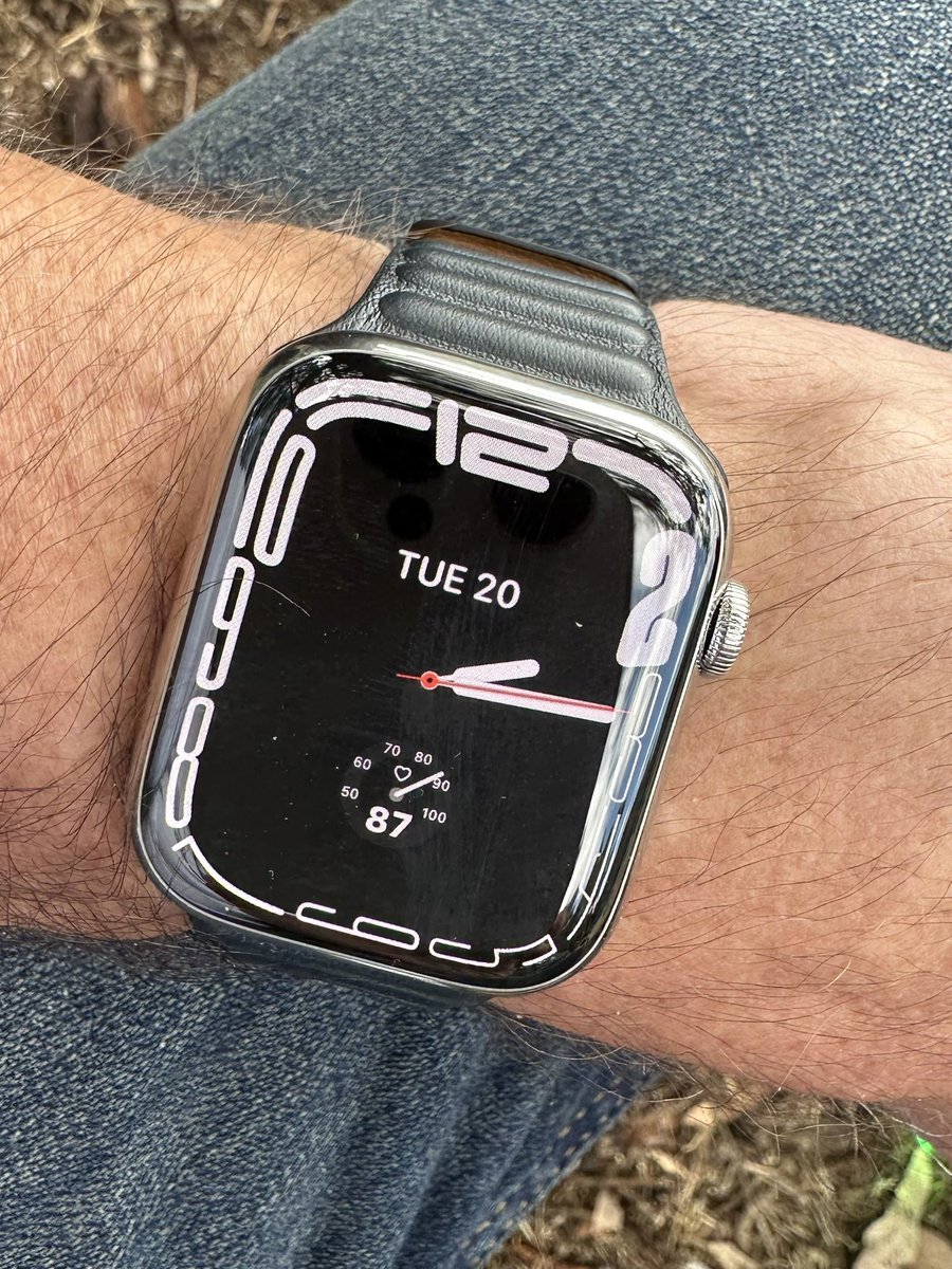 Series 8 arrived early. Looks swish with the steel and leather. Big brother arrives Friday.