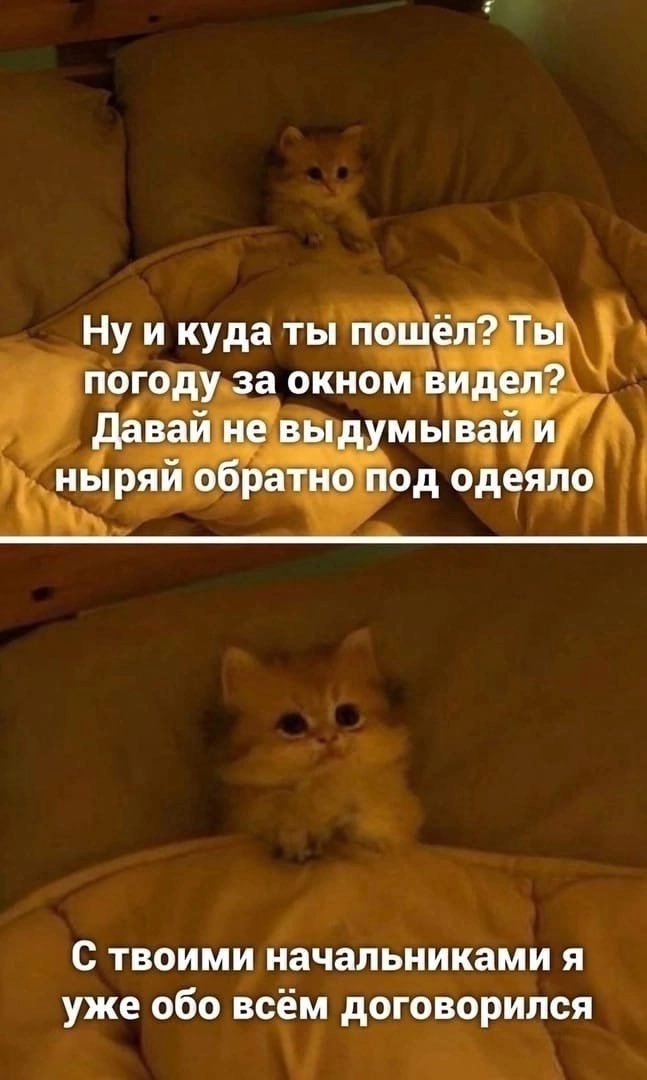 al_lisenok's tweet photo. Доброе утро! https://t.co/8LLVENaa5O