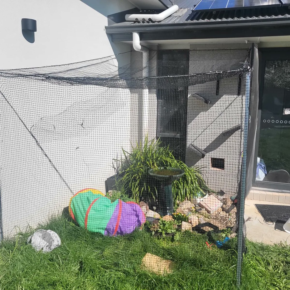 John Del Castillo tweet media