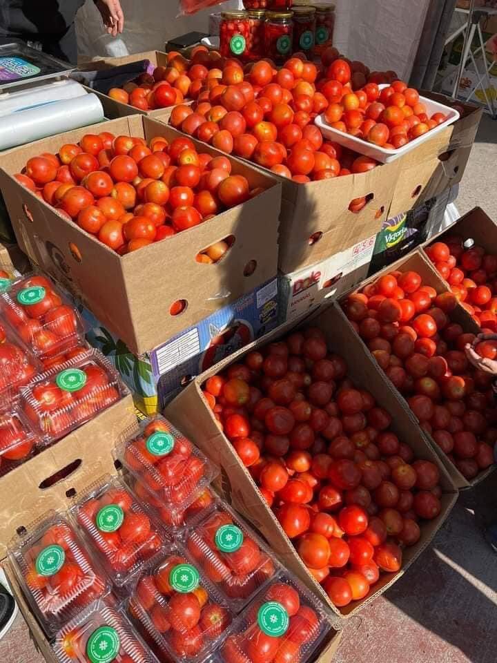 Ховд аймагт тариалсан янзын гоё помидор болон бусад жимс, хүнсний ногоог төв цэнгэлдэхэд болж байгаа ногооны үзэсгэлэнгийн 152 дугаарын асараас худалдан аваарай. РТ хийгээд өгнө үү баярлараа😊