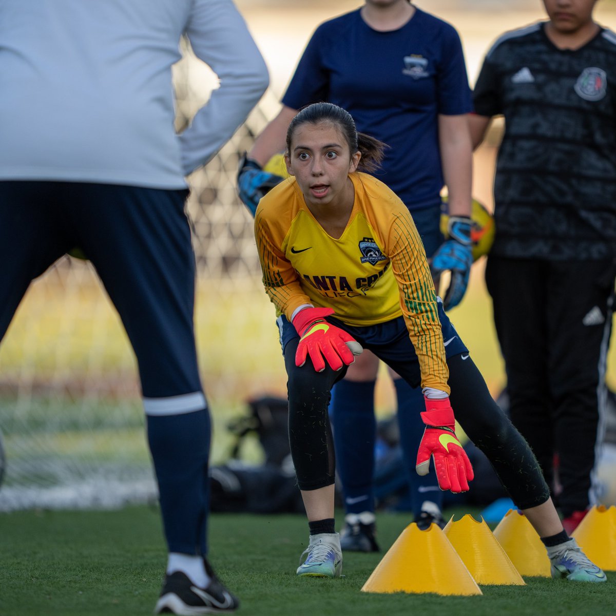 santacruzutdfc's tweet photo. π§€ Goalkeeper training π§€
#santacruzbreakers #norcalpremier #npl #soccer #youthsoccer #santacruz #aptostide #girlssoccer #goalkeeper #training #goalietraining https://t.co/pMBbmcROeJ