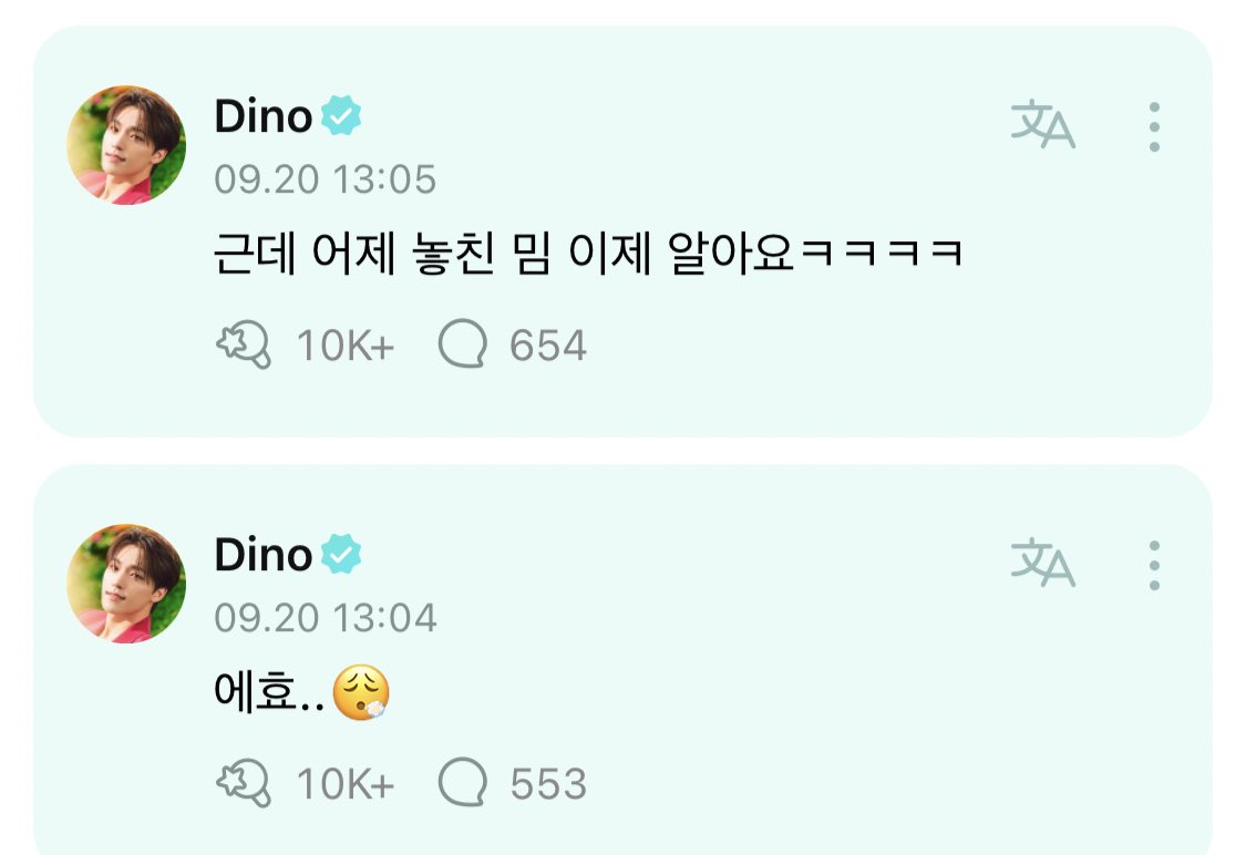 무려 ’밈‘ 이란다 우리 디노가 ..
감격 그 잡채