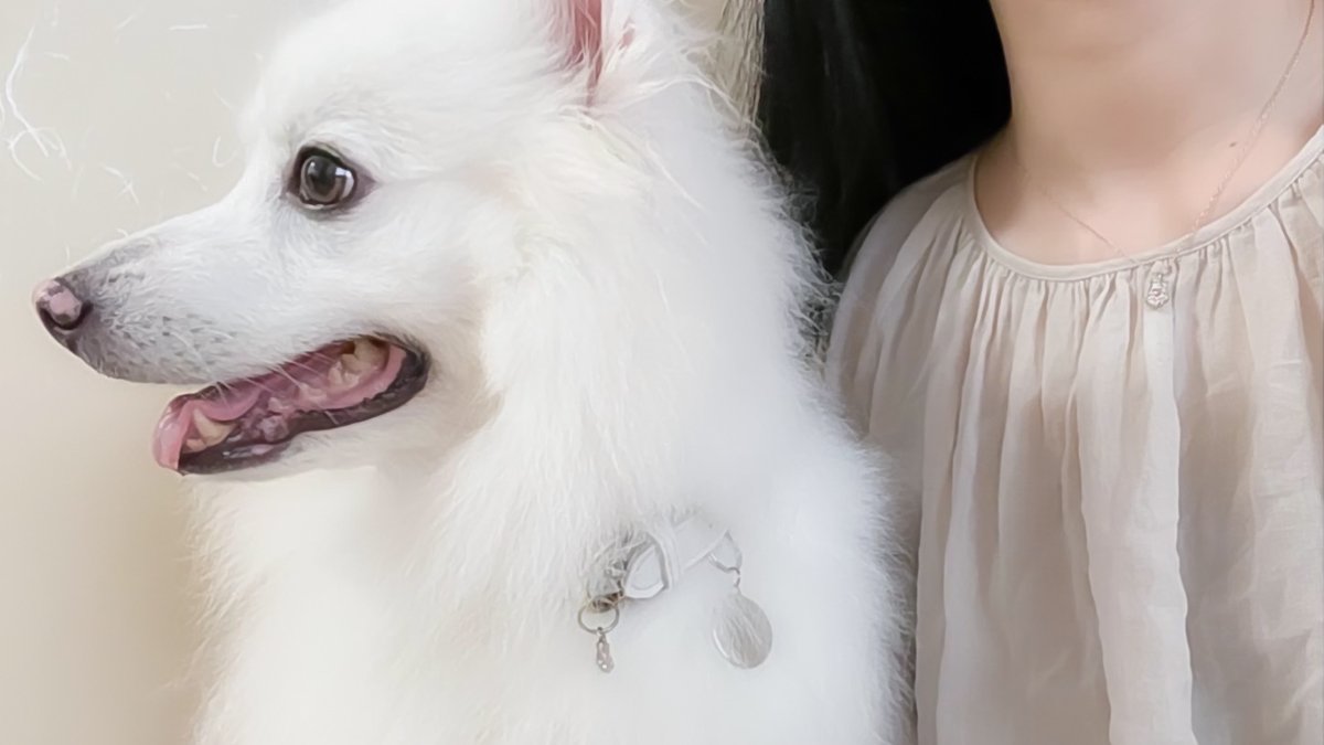 Lauss_info's tweet photo. 愛するワンちゃんとのペアネックレスです。
犬の手をモチーフにしたペンダントヘッドを、飼い主様は「通常のネックレス」で、ワンちゃんには「首輪に装着してチャームとして」ご使用ください。名入れも可能です。
#犬 #首輪 #チャーム #名入れ #ペットとお揃いネックレス #ステンレス #Lauss https://t.co/54Qi2ABatb