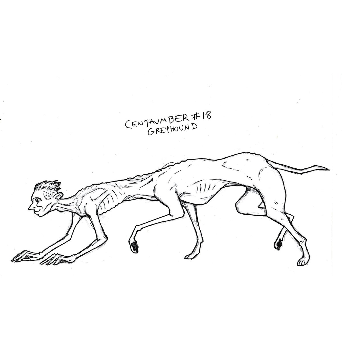 byduncanshields's tweet photo. My September drawing challenge this year is Centaumber which will be the 'centaurification' of non-horse animals. This is #18: Greyhound. #centaumber #centaur #inktember #hybrid #animal #greyhound #dog https://t.co/PQ3c1xFCDI