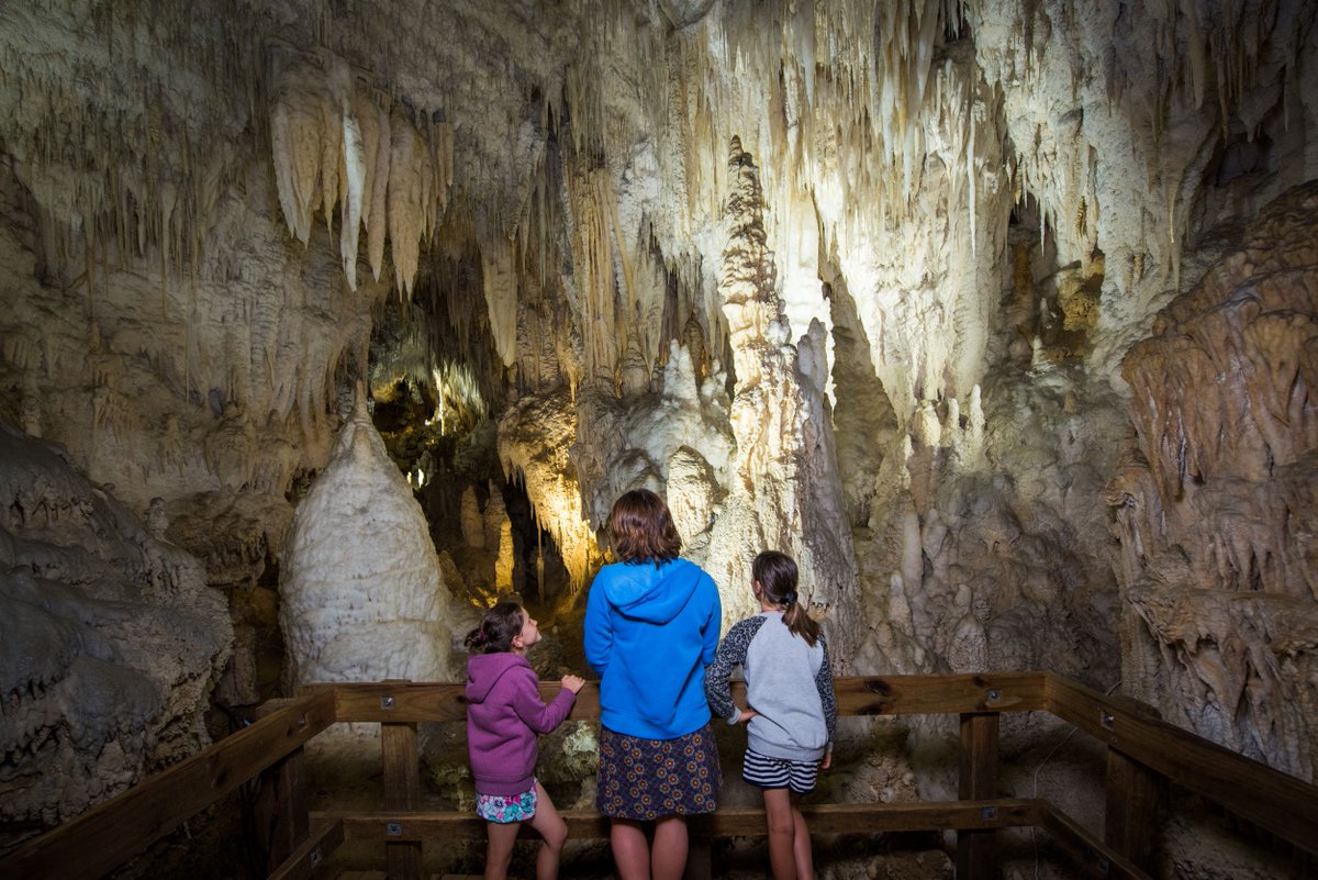 HamiltonWaikato's tweet photo. Tourism companies in the Waikato are mighty dedicated to the tiaki – the care – and protection of the region’s treasured natural places. Their commitment has made the headlines, in print in the local edition of the Herald and online. Read all about it here https://t.co/hHjVCGCoSx https://t.co/t7Zmk7iRZ9