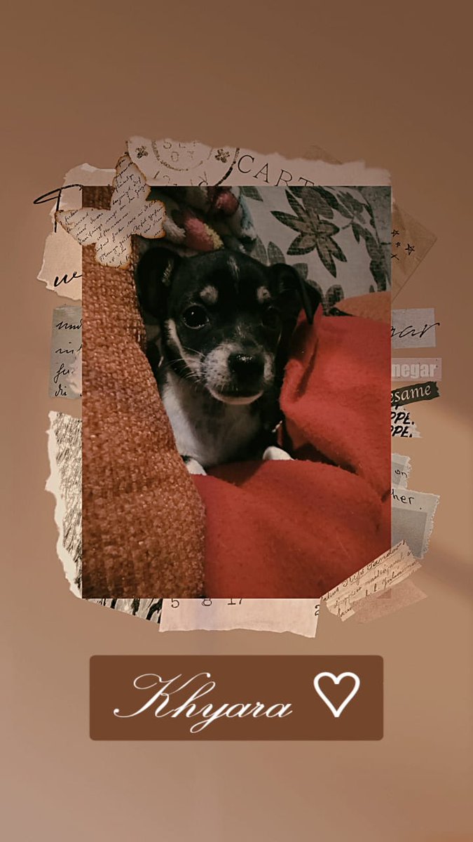 Nueva integrante de la familia 😊😊

Pd: si no los quieren no los echen a la basura 😔😢