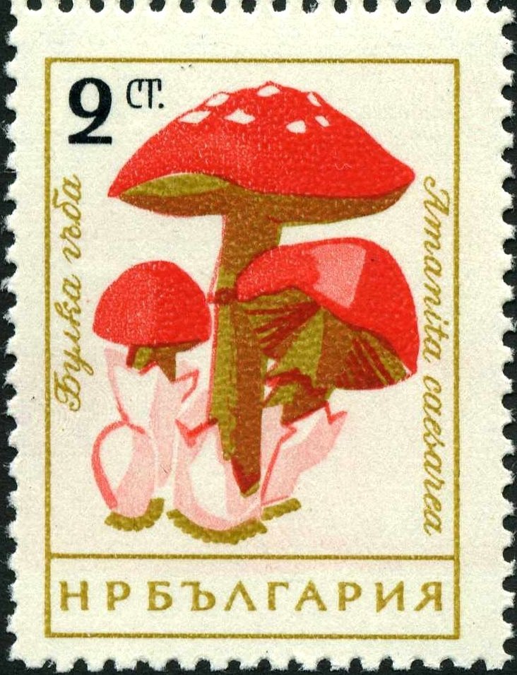 Stamps Bot (@stampsbot) on Twitter photo 