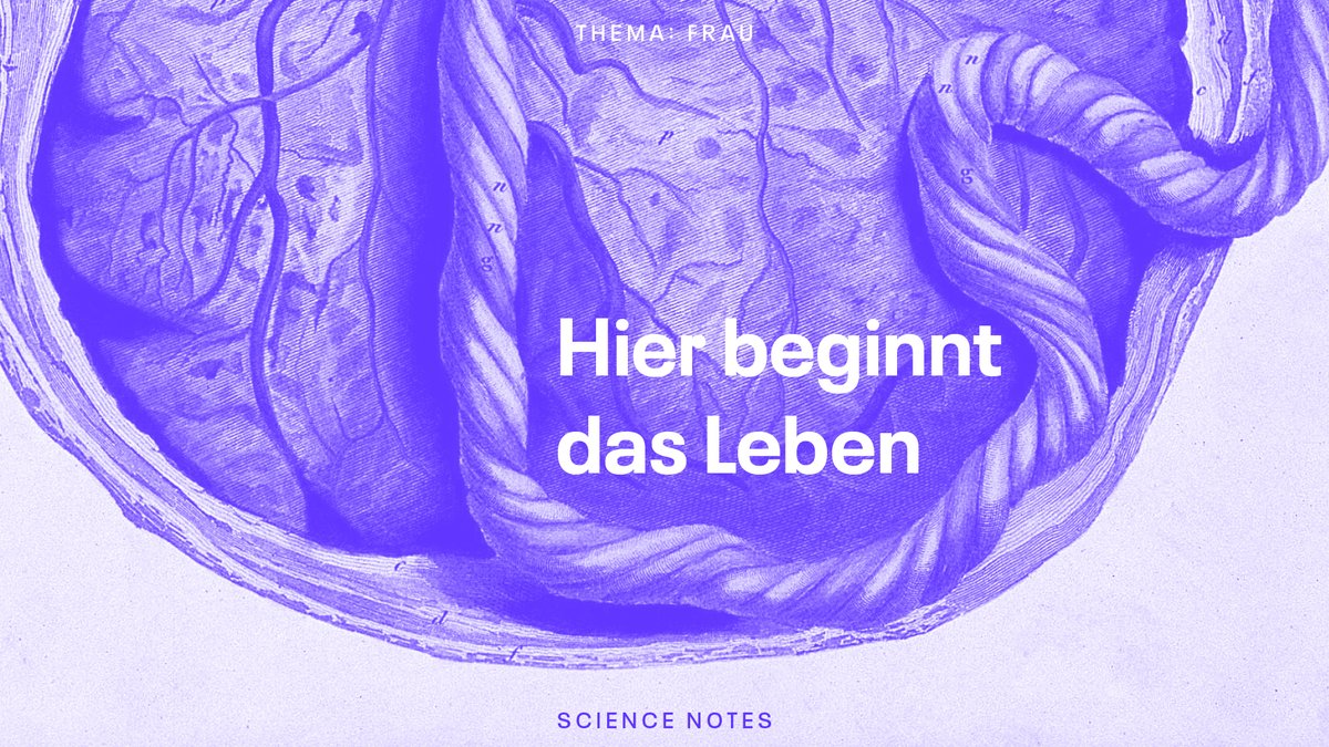 science_notes_'s tweet photo. Im #Placenta-Labor in Jena versuchen Wissenschaftlerinnen die Plazenta künstlich am Leben zu halten. Warum?
Die Antwort darauf lest ihr im Text von @NellyAnnika, jetzt online ���
https://t.co/NvB4rTUeZT
#frau #science #sciencenotes https://t.co/N93d2Bhq8X