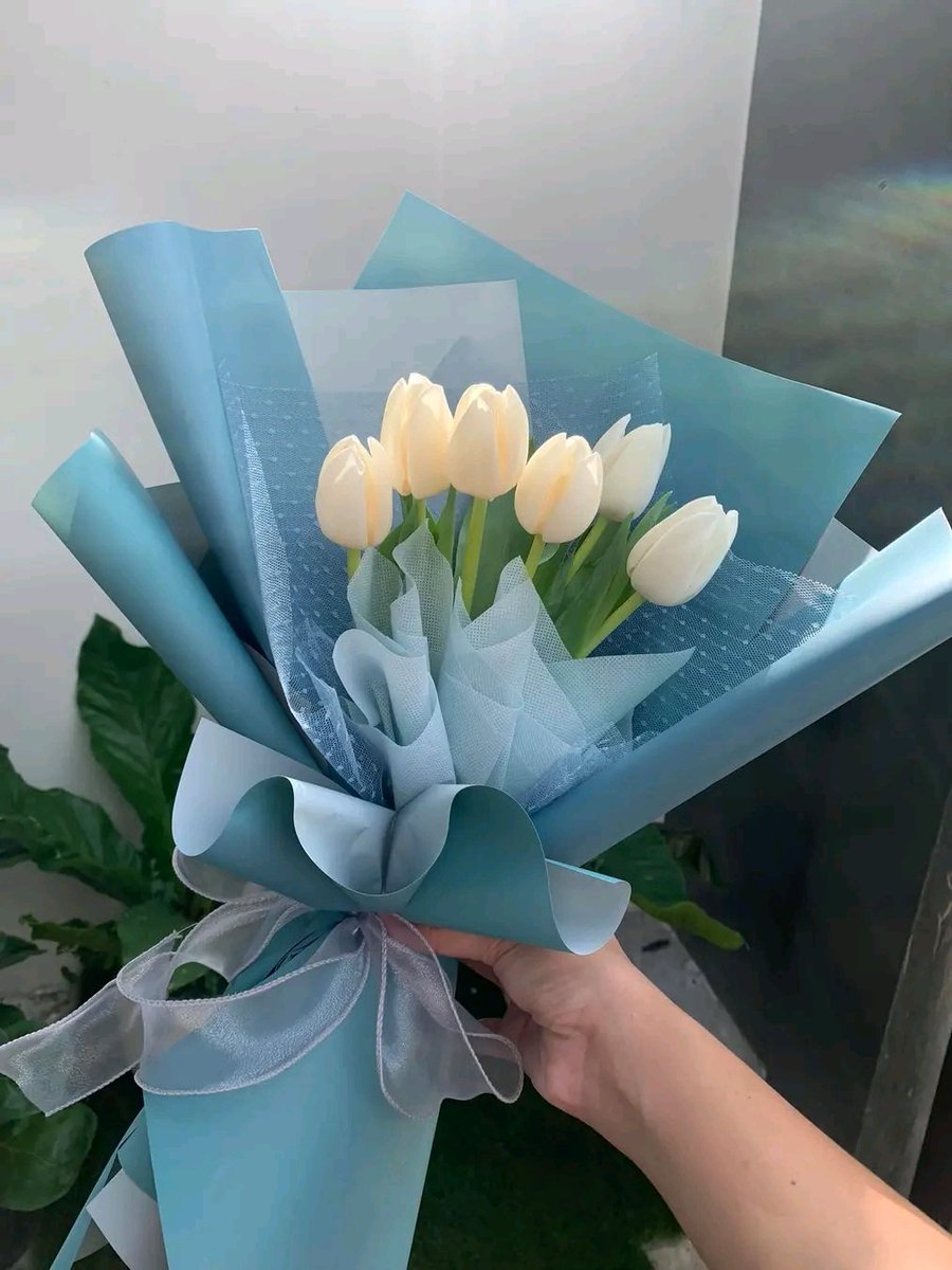 MsCha19's tweet photo. 🤍 https://t.co/gJuokQZXCw