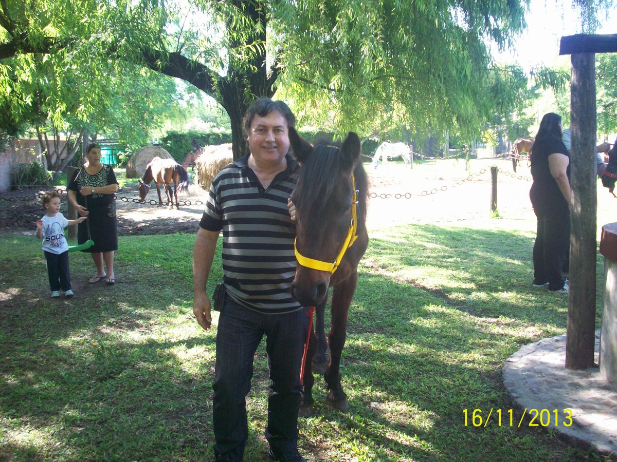 FELIZ   DIA  DEL CABALLO !!! hoy  a las 18 hs nos juntamos en el congreso para  pedir basta  de traccion   a sangre.