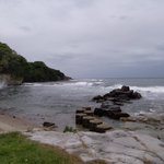 ツイートに含まれる画像