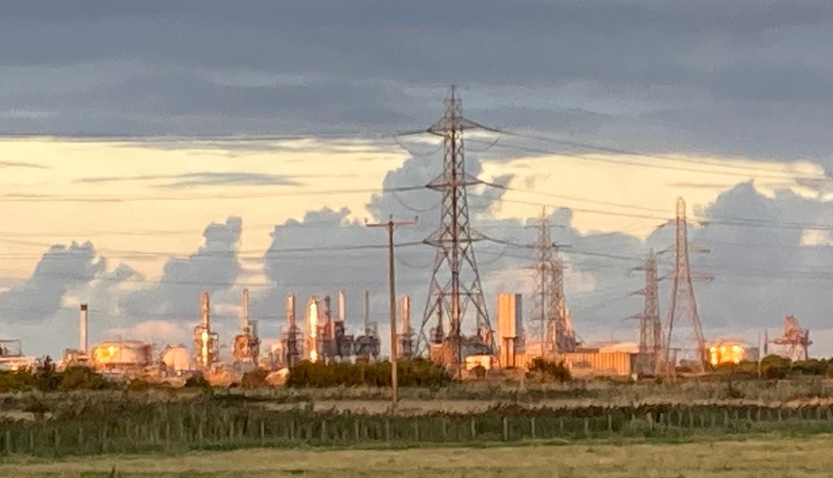 Consulting with teachers &amp; creative practitioners on Thursday evening. Also with Alice &amp; the Mad Hatter!
At <a href="/RSPBSaltholme/">RSPB Saltholme</a> on behalf of <a href="/TeesValleyCA/">Tees Valley CA</a> &amp; TV Creative Education Partnership.