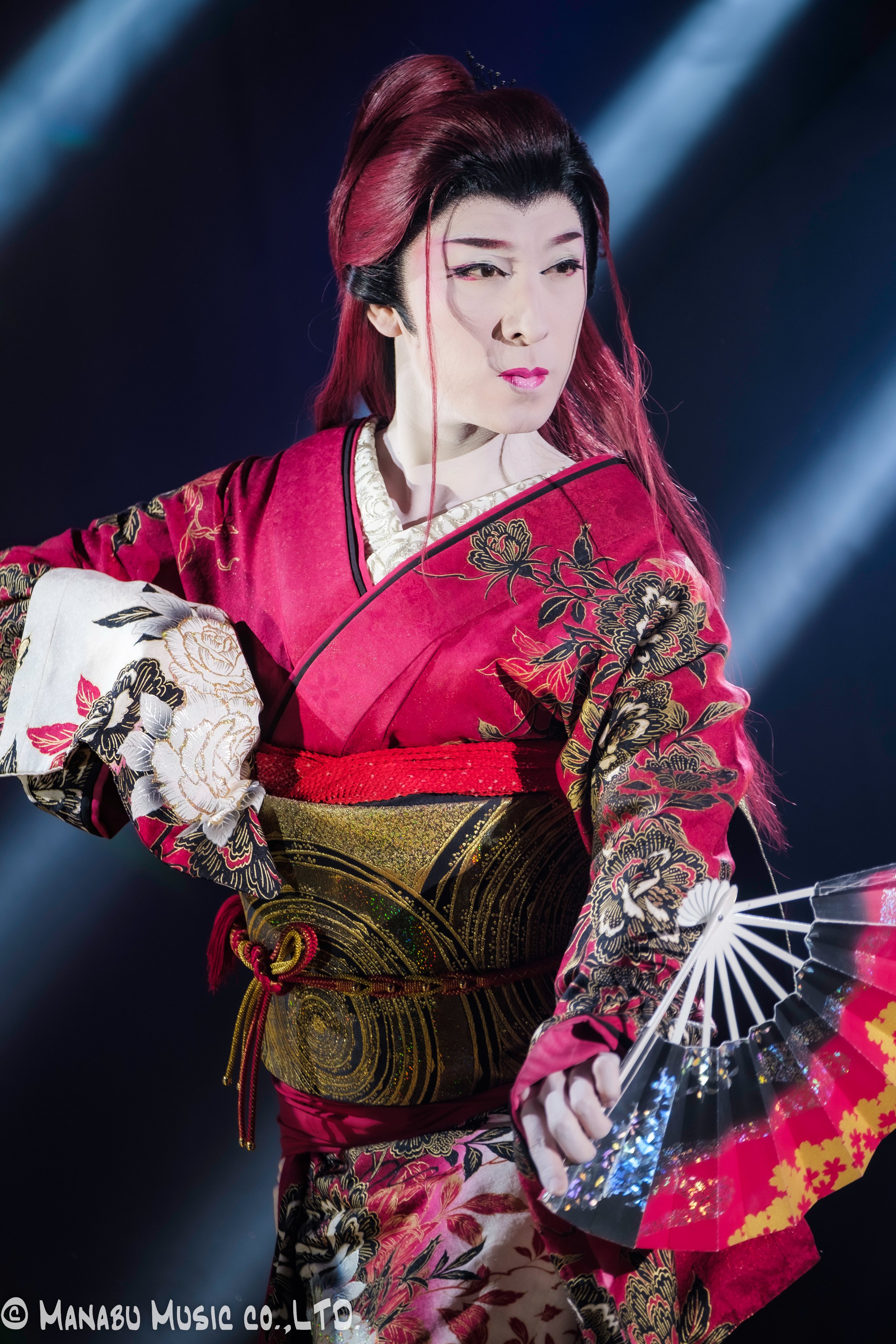 劇団昴星　十周年記念公演　DVD 小泉たつみ 劇団昴星 十周年記念公演 DVD 小泉たつみ