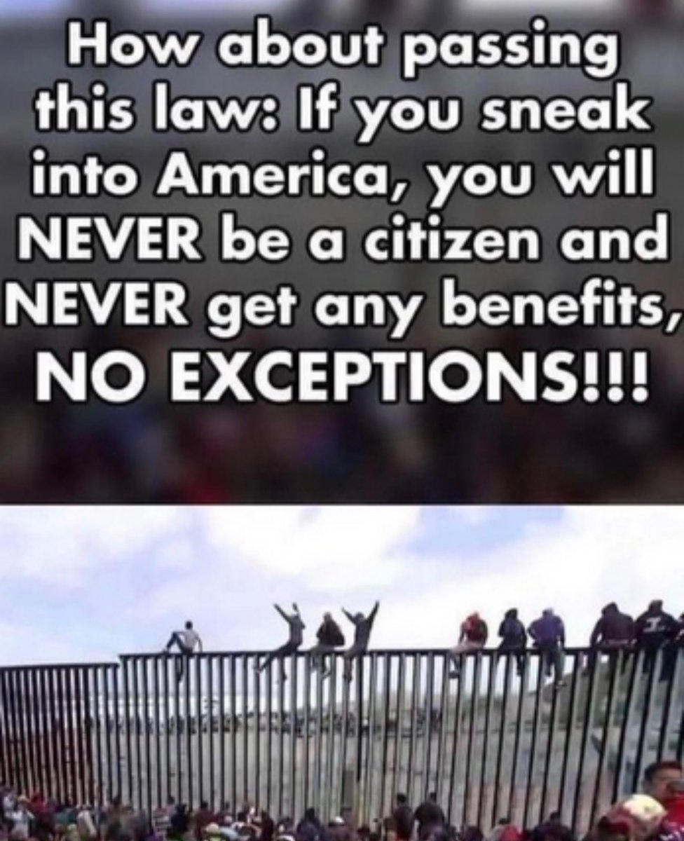 This should be a law👇