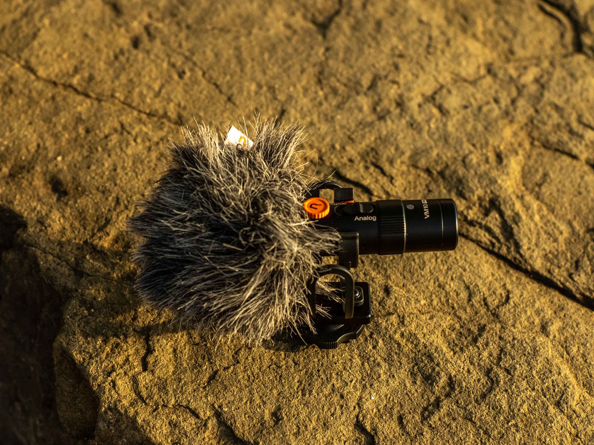 ComicaAudio_JP's tweet photo. Explore. Record. Repeat. Capture your every journey with the VM10 PRO with a wind muff. Get stunning pristine sound without wind noise. So now, are you ready to go?πππ
Cr to @apc_films
πVisit for more: https://t.co/mARxqh8bBs
#comica #comicamic #shotgunmic #minimicrophone https://t.co/qoIf1vVF6z