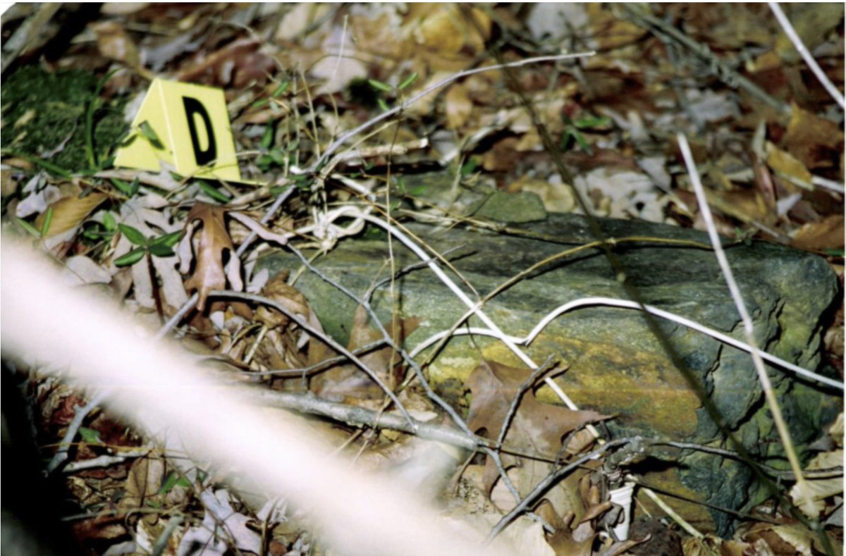 Colin Miller tweet media