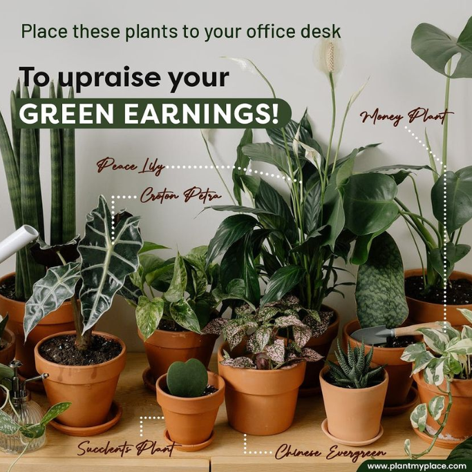plantmyplacein's tweet photo. Plants make everything better.
#Treesaurus #plantpeople #iloveplants #planter #gardening #planter #plantpuns #photogenicplants #plantlover #plantjokes #plantsmakepeoplehappy #pottedplants #planthumour #planthumor #plantlover #plantlove #growplants https://t.co/Wc6xWmxAec
