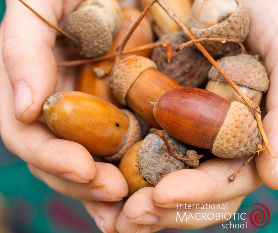 Who could you be with the right support, guidance and nourishment? 

Support, guidance and nourishment is exactly what you will get by joining our next Foundation Year Course - Holistic Nutrition for Body &amp; Soul. 

To find our more visit: buff.ly/3dTGwYw