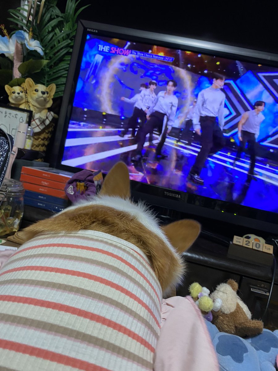 Stitch555Love's tweet photo. わぁーい❣️:.* ♡ゎー\(°´˘`°)/ーぃ♡ *.:
ONEUS🌏✨💫おめでとう🏆✨🏆✨🏆✨🏆✨🎉🎉🎉💗💗💗💗💗💗💗💗💗💗💗💗💗💗💗💗💗💗💗💗💗💗💗💗💗💗💗💗💗💗🐶💖
#ONEUS #ONEUS4thwin https://t.co/kaRJlbOshu